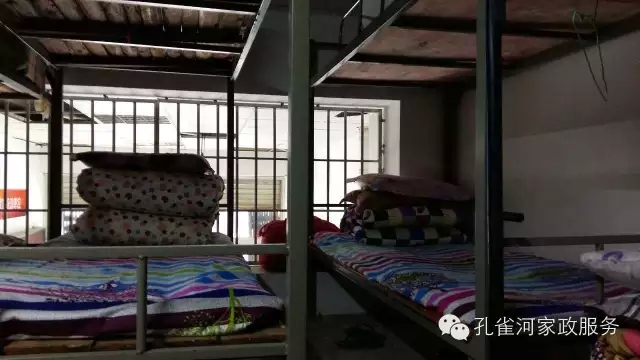 ��ȸ�Ӽ�����ķ������ů��ů�����ģ�