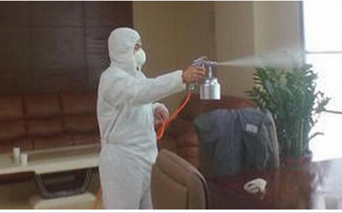 �B�T���������X