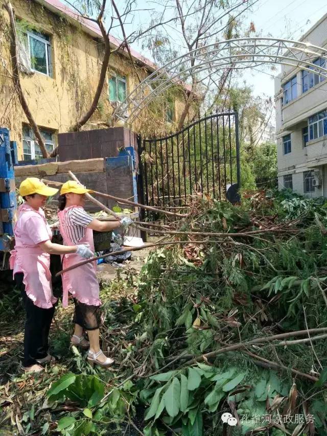 ��������y���������