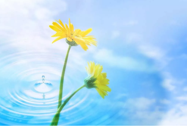 2018�������¸��f�f,�m�������Ժ���!